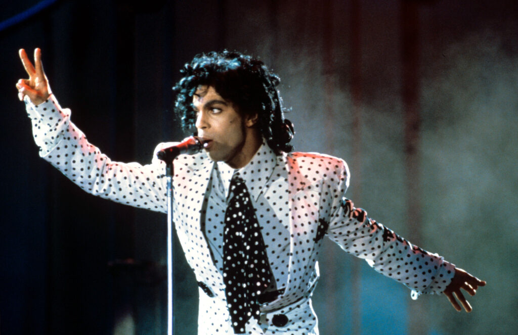 VARIOUS - 1988 Prince VARIOUS - 1988