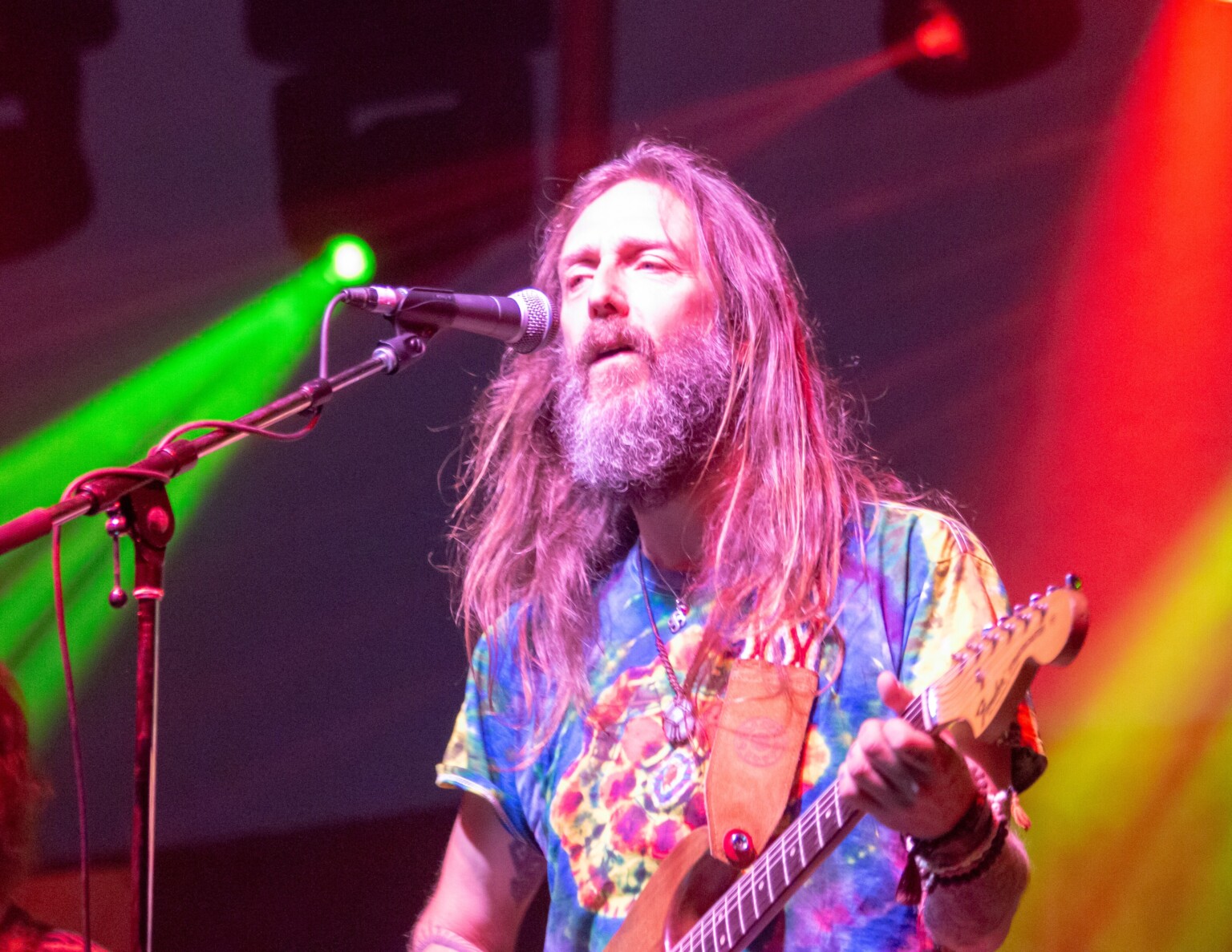Chris Robinson at Kitchener Bluesfest 2018